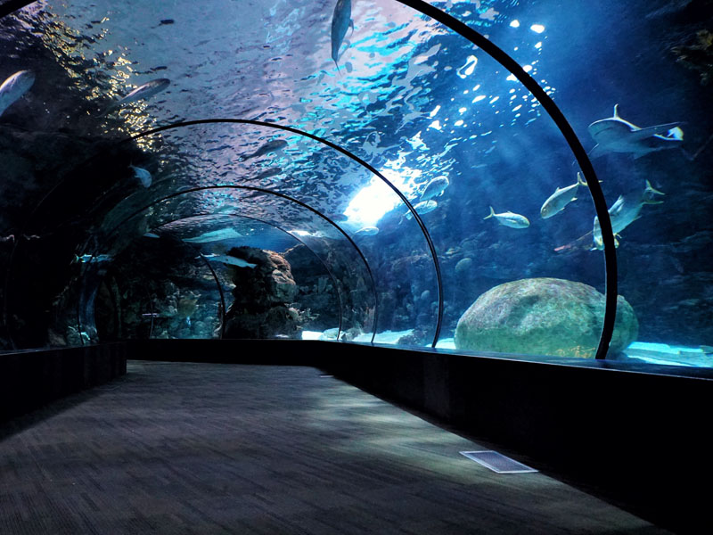 Aquarium