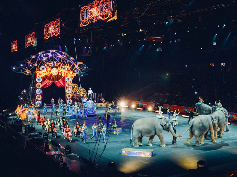 Circus