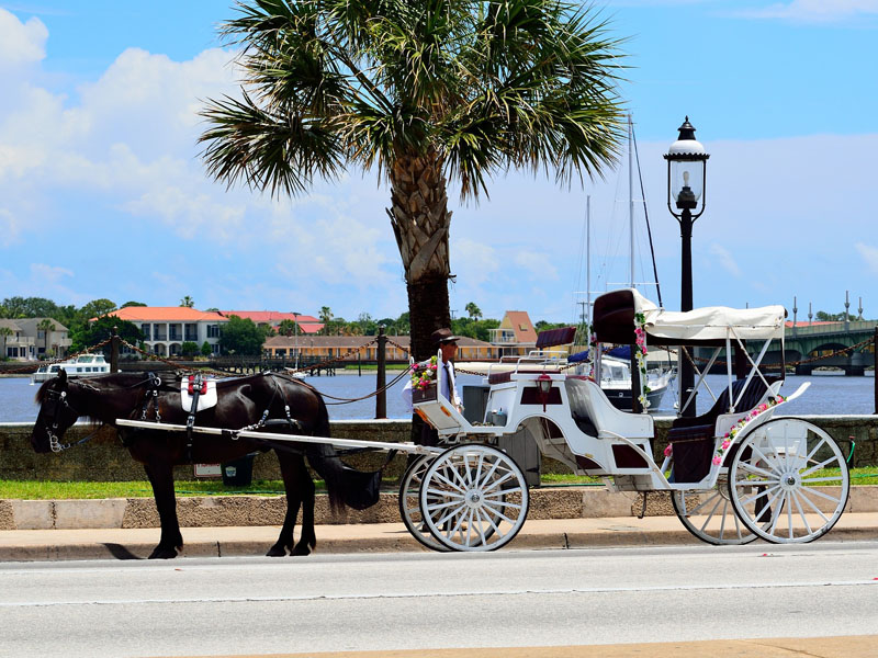 Horsedrawn Carriage