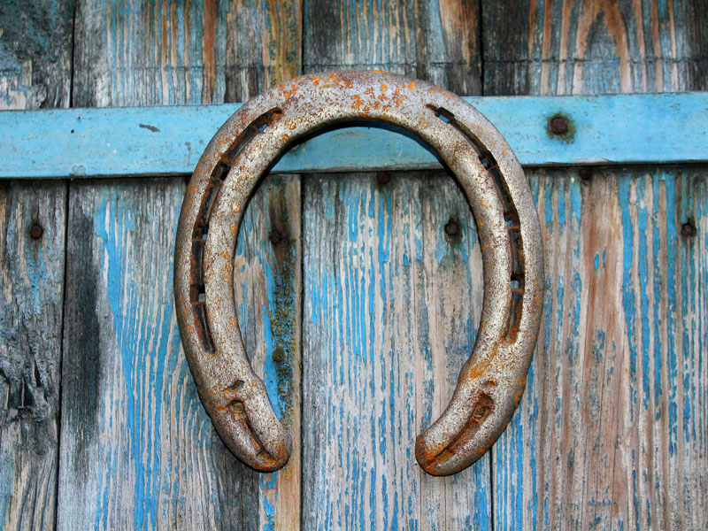 Horseshoes