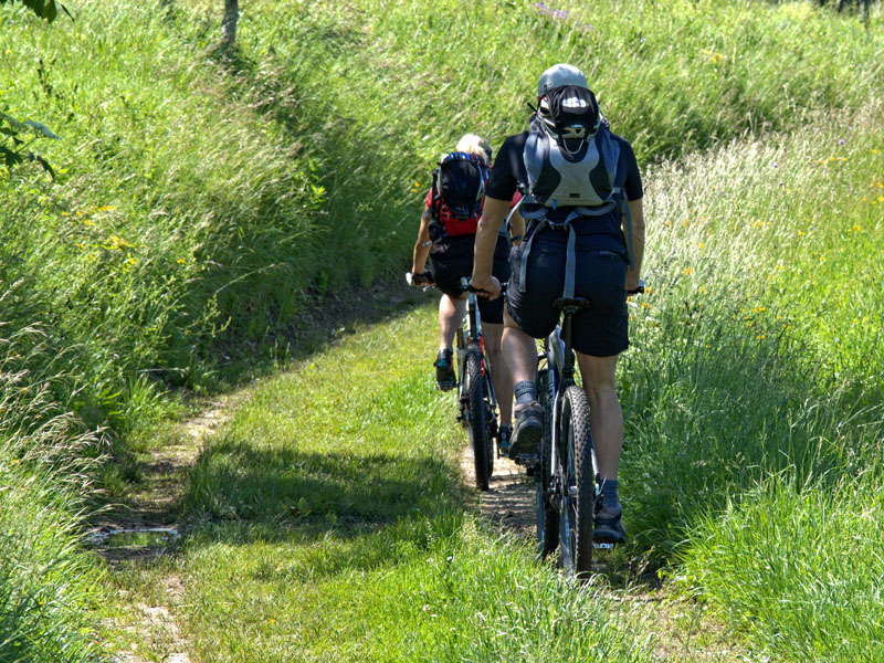 Mountain Biking
