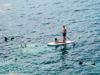 Paddleboarding date idea